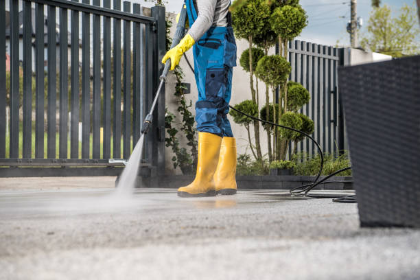 Best Deck Cleaning Services  in Lakeview, CA